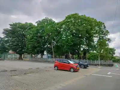 高須社(神明神社)の自然