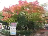 浄住寺の自然