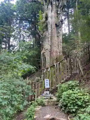 玉置神社(奈良県)