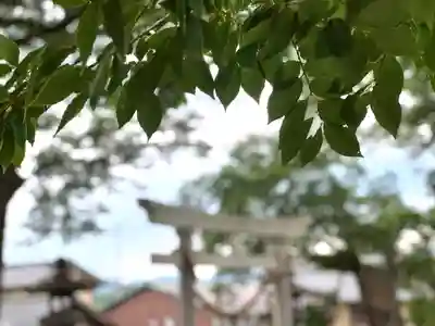 白鳥神社(長野県)