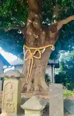 春ノ木神明社(神奈川県)