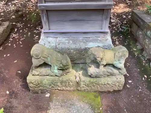 渋谷氷川神社の狛犬