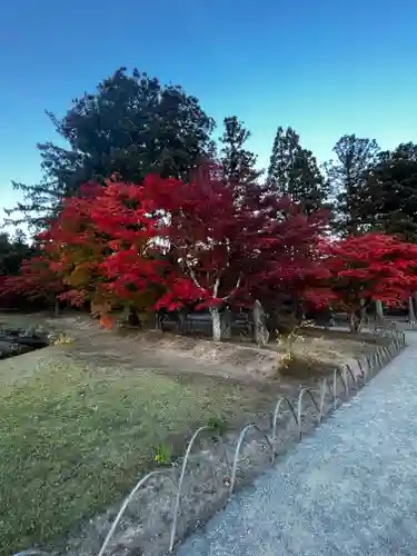 毛越寺(岩手県)