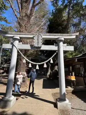 開運招福 飯玉神社(群馬県)
