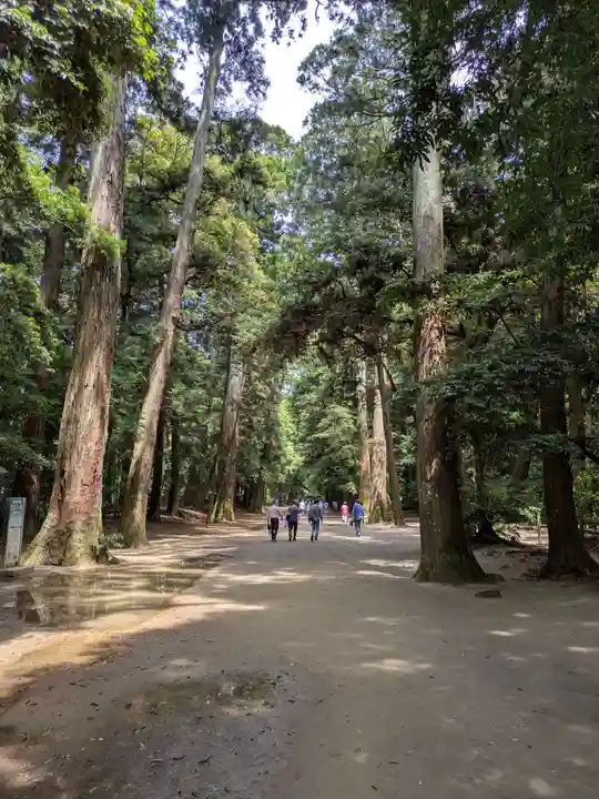 鹿島神宮(茨城県)