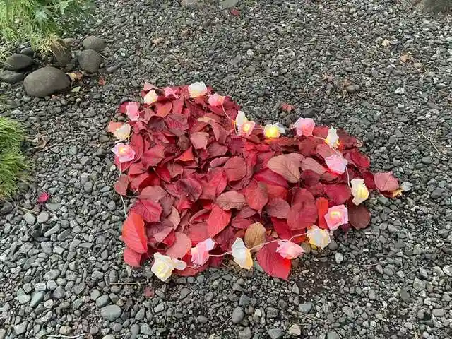 彌彦神社 (伊夜日子神社)の庭園