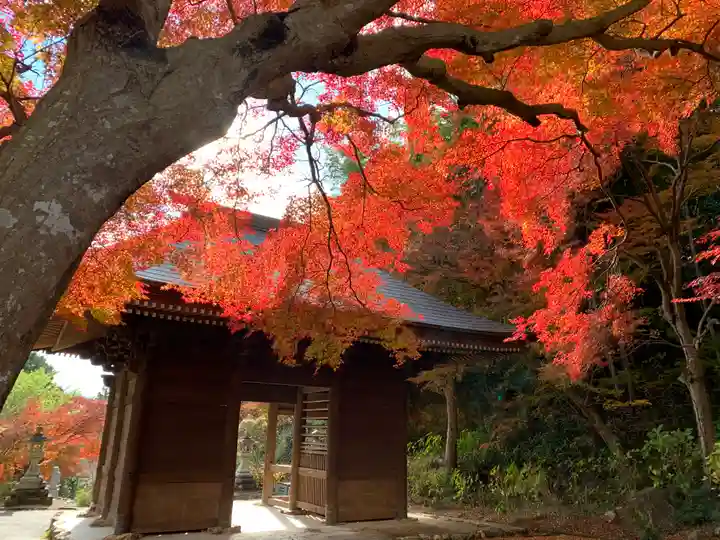 普門寺(切り絵御朱印発祥の寺)の山門・神門