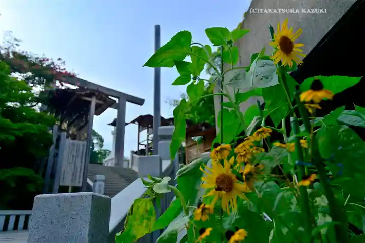 伊勢山皇大神宮(神奈川県)