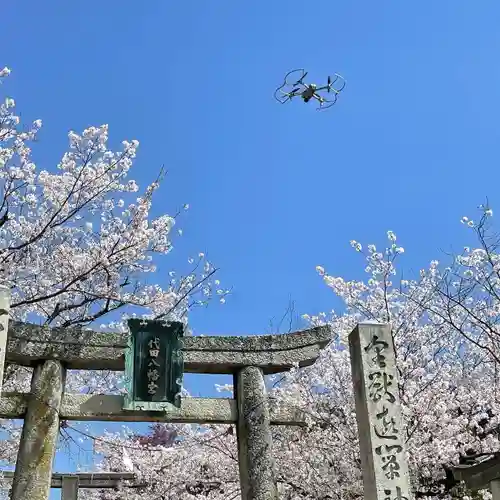 代田八幡宮の鳥居