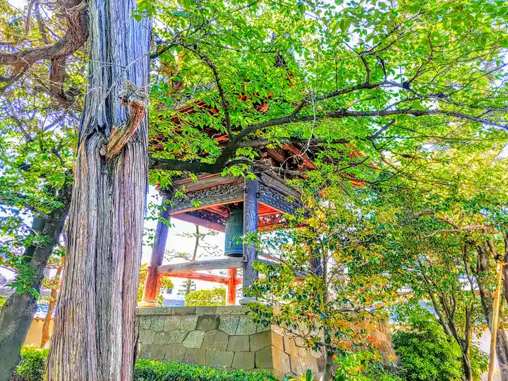 専超寺のその他建物