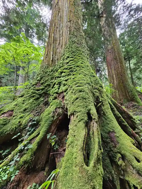 最乗寺(道了尊)(神奈川県)