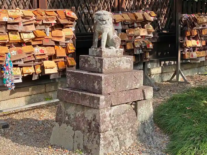 梅宮大社の狛犬