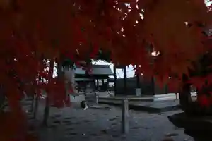 日吉二宮神社の景色(2023年11月29日(水) 00時07分50秒投稿)