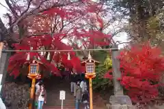 新倉富士浅間神社(山梨県)