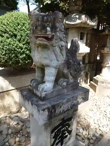 挙母神社の狛犬