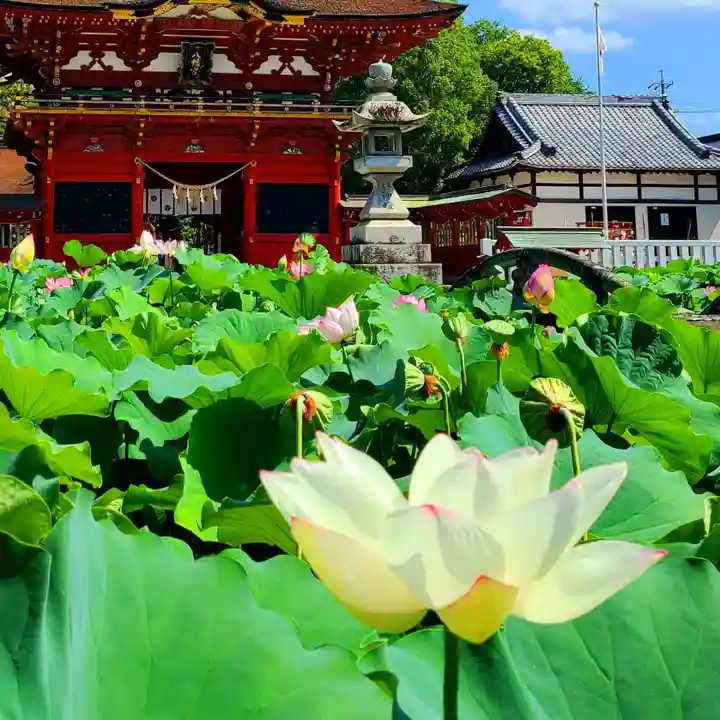 伊賀八幡宮(愛知県)