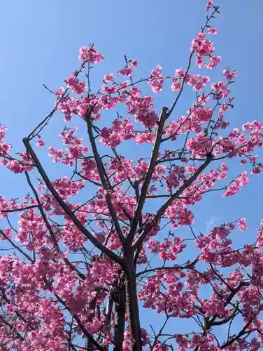 天徳寺(神奈川県)