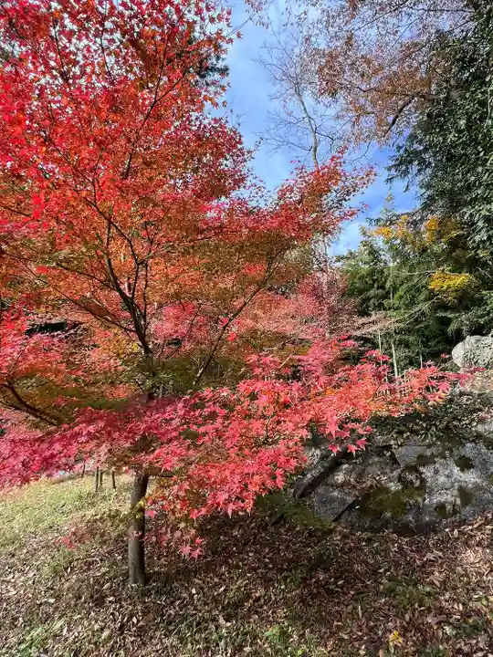 岩角山 岩角寺(福島県)
