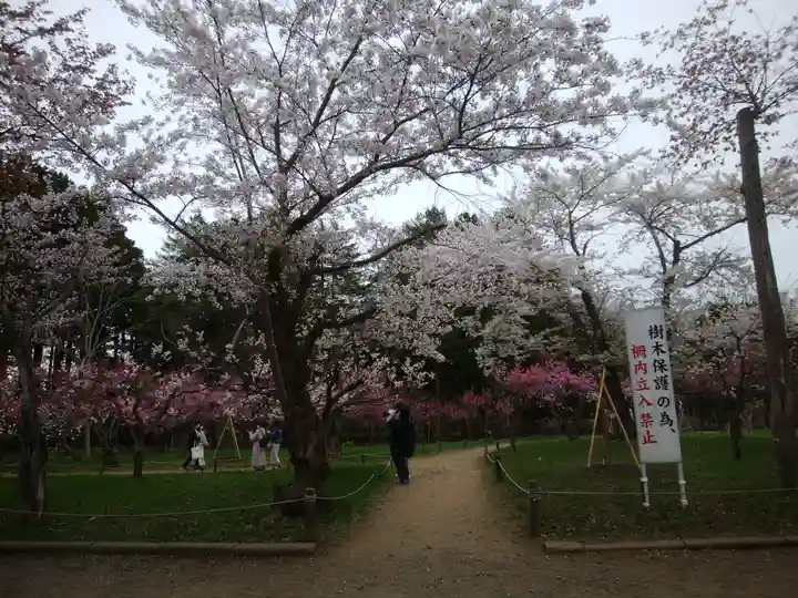 北海道神宮の自然
