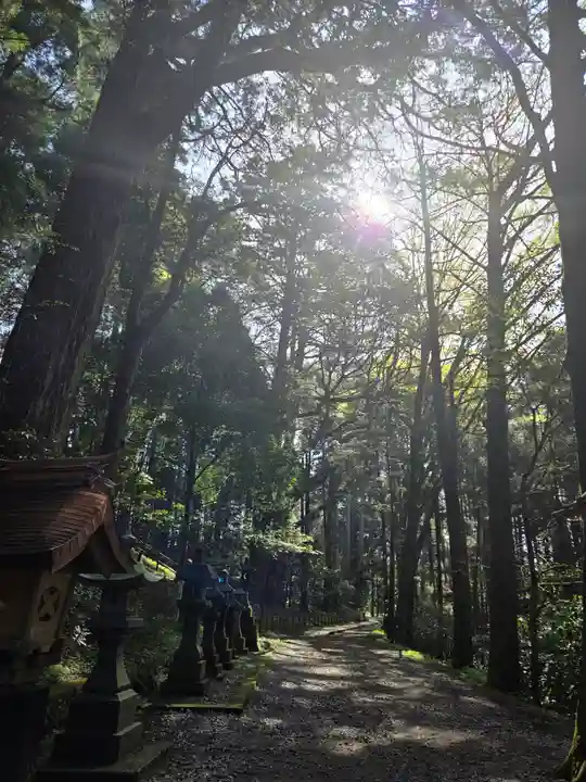 幣立神宮(熊本県)