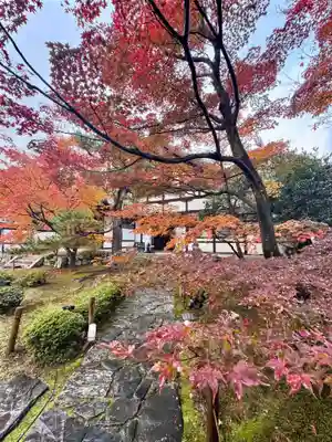鹿王院(京都府)