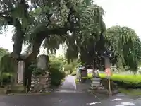 長泉院(埼玉県)