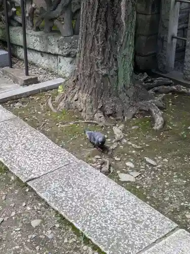 榊神社(東京都)