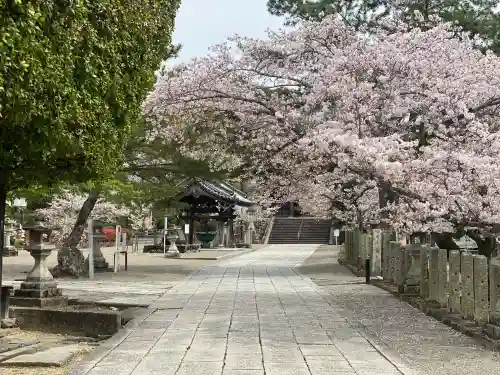 粉河寺の{uncategorized: "未分類", other: "その他", undefined: "問題あり", building: "その他建物", grave: "お墓", sacred_gate: "鳥居", guardian: "狛犬", statue: "像", buddha: "仏像", history: "歴史", nature: "自然", garden: "庭園", animal: "動物", pagoda: "塔", temizu: "手水舎", mountain_gate: "山門・神門", sanctuary: "本殿・本堂", subordinate: "末社・摂社", art: "芸術", scenery: "景色", jizo: "地蔵", ema: "絵馬", goshuin: "御朱印", omikuji: "おみくじ", items: "授与品その他", amulet: "お守り", goshuincho: "御朱印帳", eats: "食事", festival: "お祭り", votive_dance: "神楽", shichigosan: "七五三参", wedding: "結婚式", experience: "体験その他", initially: "初詣", around: "周辺", anti_infection: "感染症対策"}