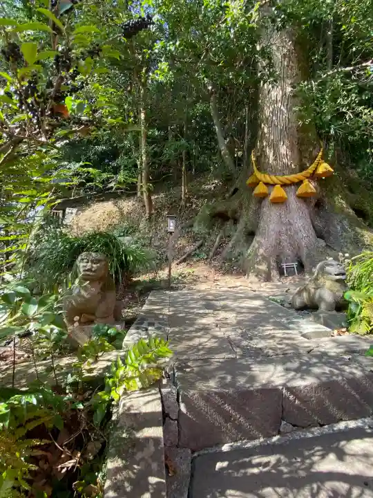 鎮西大社諏訪神社の{uncategorized: "未分類", other: "その他", undefined: "問題あり", building: "その他建物", grave: "お墓", sacred_gate: "鳥居", guardian: "狛犬", statue: "像", buddha: "仏像", history: "歴史", nature: "自然", garden: "庭園", animal: "動物", pagoda: "塔", temizu: "手水舎", mountain_gate: "山門・神門", sanctuary: "本殿・本堂", subordinate: "末社・摂社", art: "芸術", scenery: "景色", jizo: "地蔵", ema: "絵馬", goshuin: "御朱印", omikuji: "おみくじ", items: "授与品その他", amulet: "お守り", goshuincho: "御朱印帳", eats: "食事", festival: "お祭り", votive_dance: "神楽", shichigosan: "七五三参", wedding: "結婚式", experience: "体験その他", initially: "初詣", around: "周辺", anti_infection: "感染症対策"}