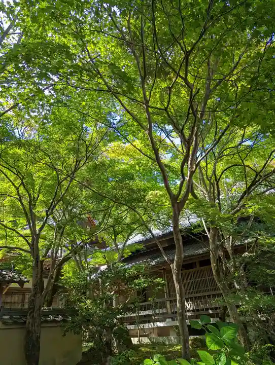 勝持寺(花の寺)(京都府)