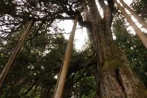 甘泉寺の自然