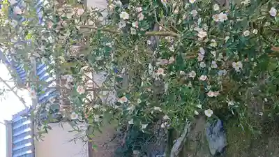 興聖寺(興聖寶林禅寺)(京都府)