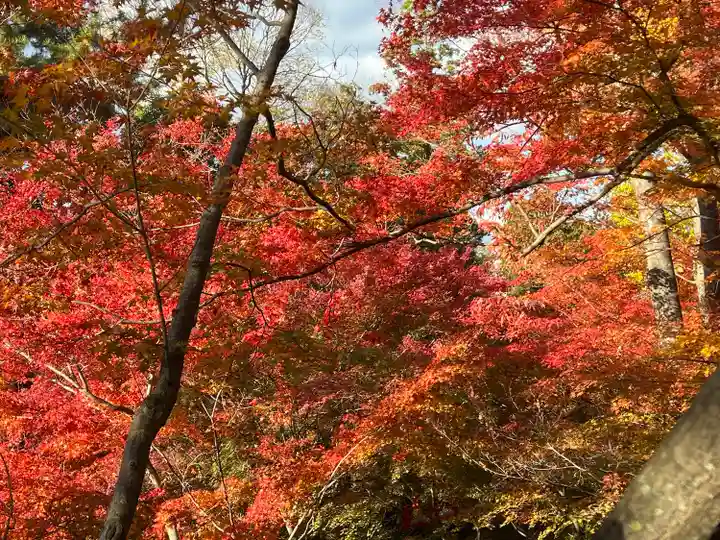 北野天満宮(京都府)