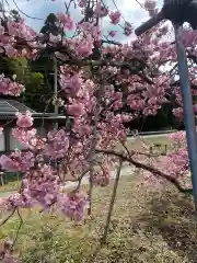 慈悲観音堂(大分県)