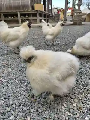 高屋敷稲荷神社(福島県)