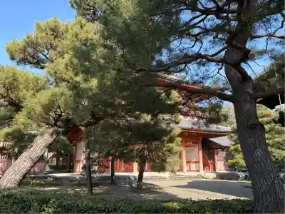 大徳寺(京都府)