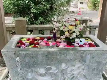 立江八幡神社(徳島県)