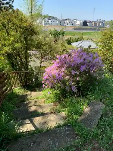 三社神社の景色