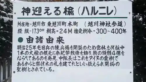 旭川神社の歴史