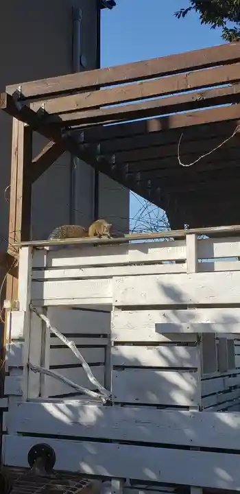 江島神社の動物