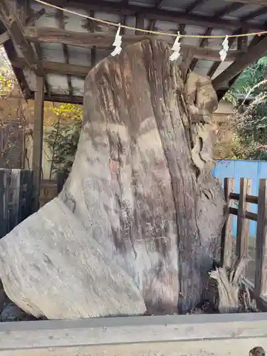 白岡八幡神社(埼玉県)