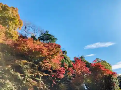 犬山寂光院の景色