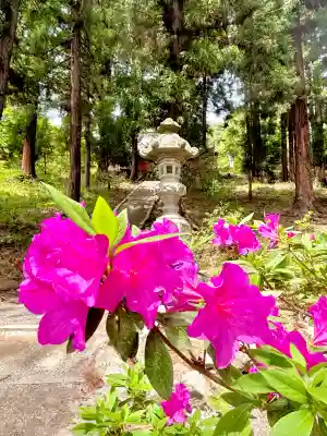 蚊里田八幡宮の{uncategorized: "未分類", other: "その他", undefined: "問題あり", building: "その他建物", grave: "お墓", sacred_gate: "鳥居", guardian: "狛犬", statue: "像", buddha: "仏像", history: "歴史", nature: "自然", garden: "庭園", animal: "動物", pagoda: "塔", temizu: "手水舎", mountain_gate: "山門・神門", sanctuary: "本殿・本堂", subordinate: "末社・摂社", art: "芸術", scenery: "景色", jizo: "地蔵", ema: "絵馬", goshuin: "御朱印", omikuji: "おみくじ", items: "授与品その他", amulet: "お守り", goshuincho: "御朱印帳", eats: "食事", festival: "お祭り", votive_dance: "神楽", shichigosan: "七五三参", wedding: "結婚式", experience: "体験その他", initially: "初詣", around: "周辺", anti_infection: "感染症対策"}