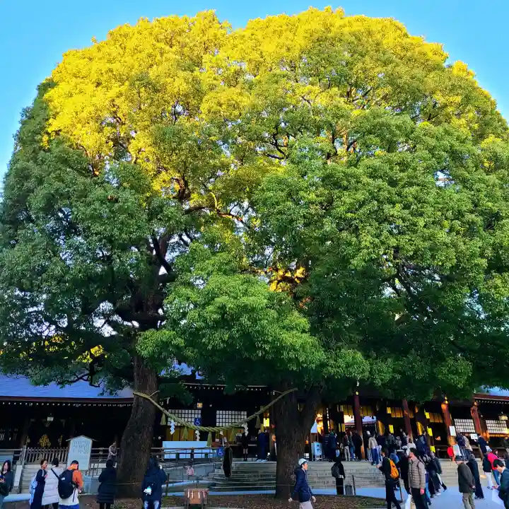 明治神宮(東京都)