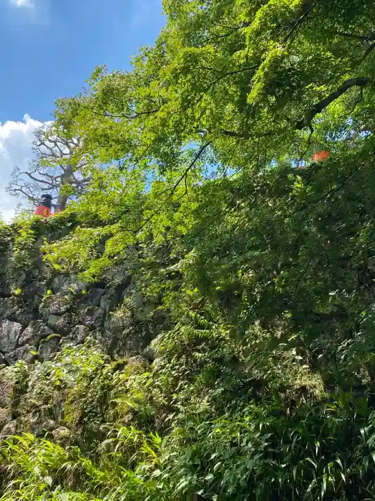 鞍馬寺(京都府)