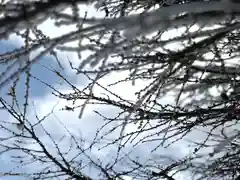 山の神神社(長野県)