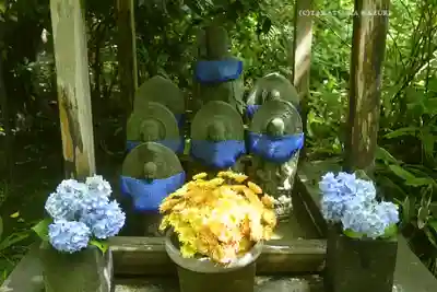 明月院(神奈川県)