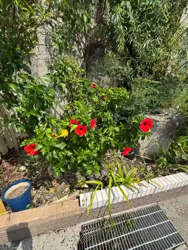 天神社(愛知県)