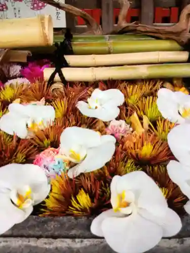 下谷神社(東京都)