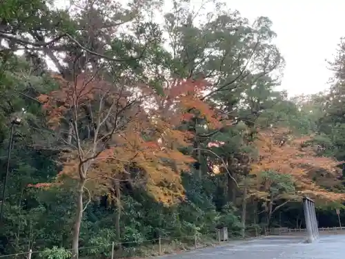 伊勢神宮外宮（豊受大神宮）のその他建物